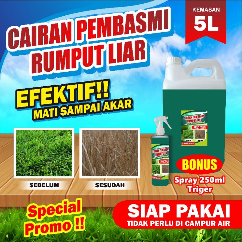 PROMO Cairan Pembasmi Rumput Liar jurigen 5 liter FREE Spray 250 ml Trigger