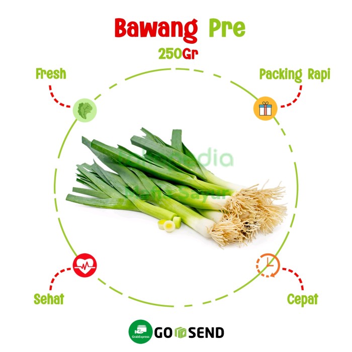 

DAUN BAWANG PRE PER IKAT / GODONG PRE / LEEK / FRESH VEGETABLE