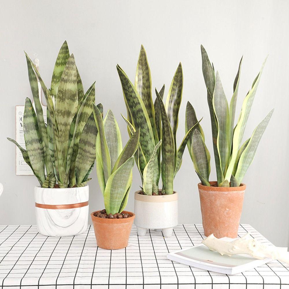 Agustina Tanaman Buatan Bahan PVC Realistis Multi-Fungsi GreeningLlandscape Rangkaian Bunga Tropis Dekorasi Desktop Indoor Daun Panjang Bonsai Pohon Palsu