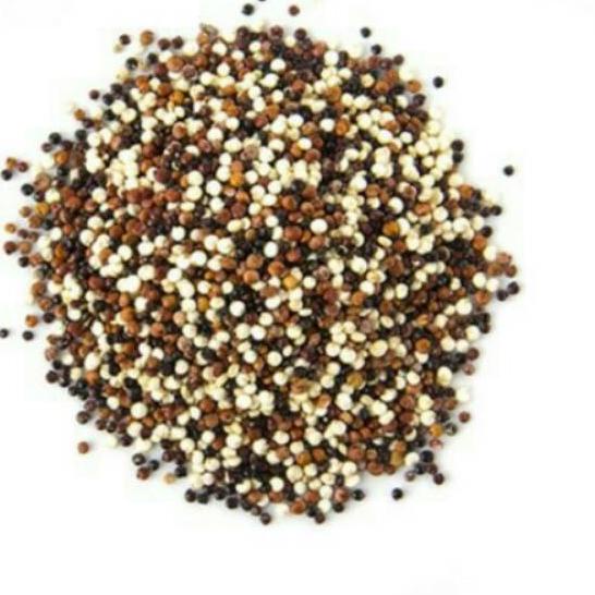 

COD✔️Organic Tri color Quinoa - 100 Gr|RA2