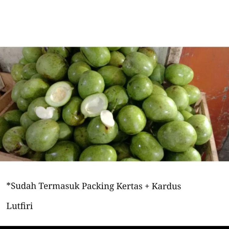 

《packingaman》 Mangga Telor atau Telur Muda Mentah 1 kg belah biji asem segar fresh rujak manisan asinan