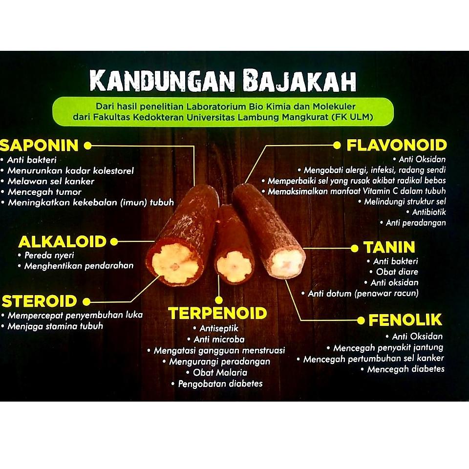 

Kode-Z37A♥☞ TEH BAJAKAH ASLI KALIMANTAN | TEH BAJAKAH PREMIUM ASLI KALIMANTAN | TEH BAJAKAH KALIMANTAN ASLI pasti dikirim