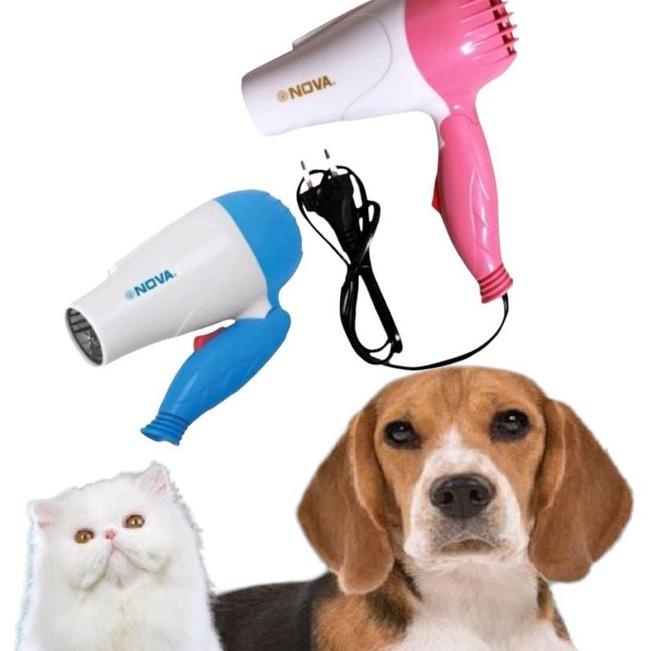 Serba Baru hedrayer pengering bulu kucing & anjing 500 w