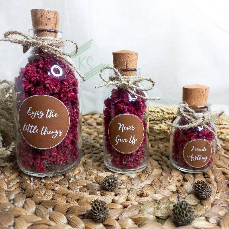 Edelweiss in bottle | Bunga kering edelweis merah dalam botol bunga hias edelweis kado wisuda ulang 