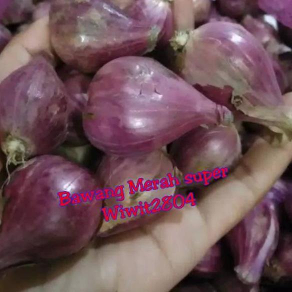 

[KODE PRODUK ZCMOW8658] Bawang Merah Brebes Super ukuran besar 1kg