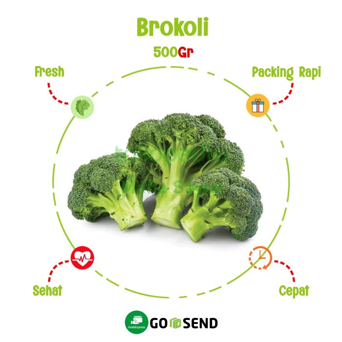 

BROKOLI HIJAU / BROCCOLI / FRESH VEGETABLES