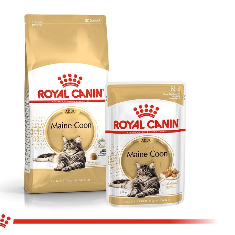 Kirim LANGSUNG Royal Canin Maine Coon Adult Pouch 85gr // Makanan Kucing Basah Mainecoon YU7``