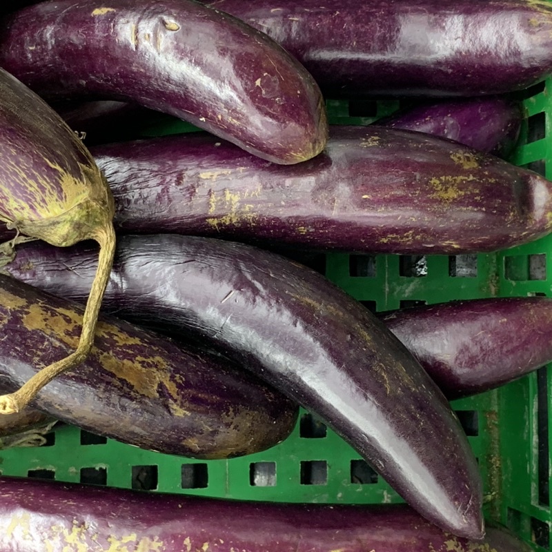TERONG BESAR KUALITAS PREMIUM (KHUSUS SAMEDAY DAN INSTAN)