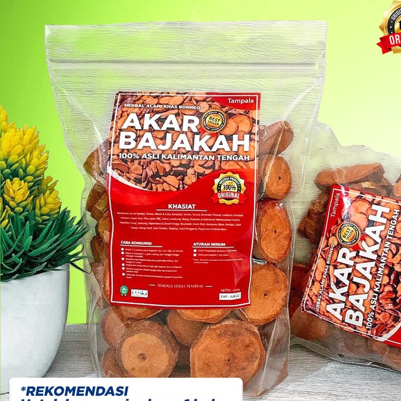 

[TERLARIS] 1Kg Akar Kayu BAJAKAH TAMPALA MERAH Siap Seduh Obat Tumor dan Kanker