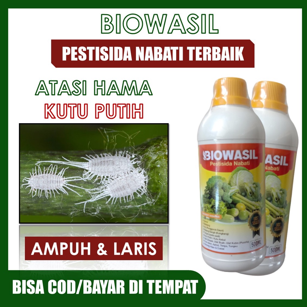 PROMO Biowasil 500 ML Pestisida Nabati Atasi Hama Kutu Putih Terbaik – Pestisida Untuk Hama Kutu Put