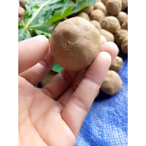 

tanah liat penghilang rasa pahit