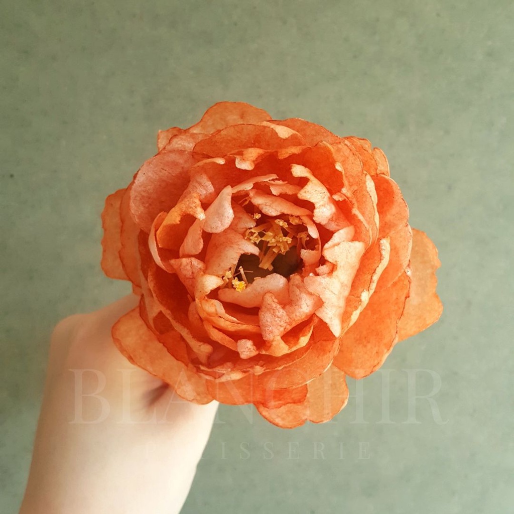 Wafer Paper Flower Peony | Wafer Paper bunga peony | hiasan kue | dekorasi kue | edible flowers | bu
