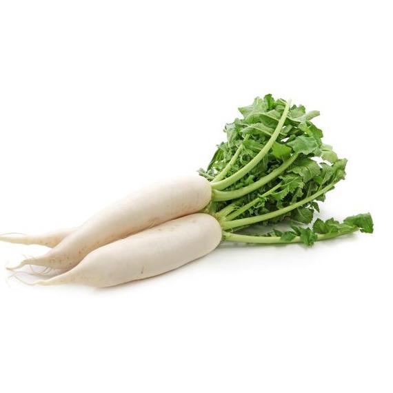 

WWA166 FCW - Lobak Putih Per Buah 500-700 Gram |