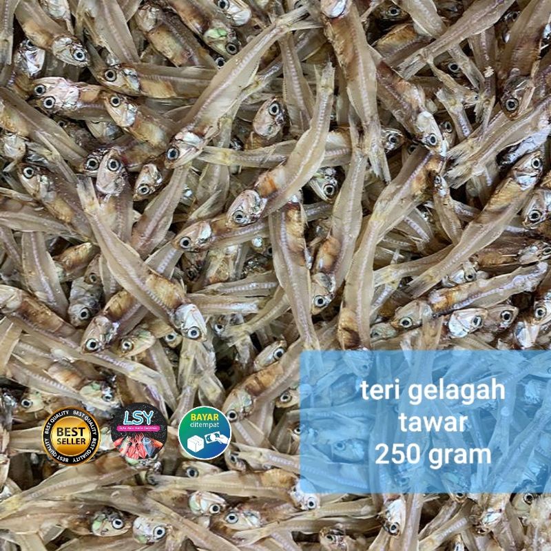 

ikan teri tawar gelagah super 250gram
