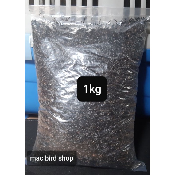 

Biji Niger seed 1kg