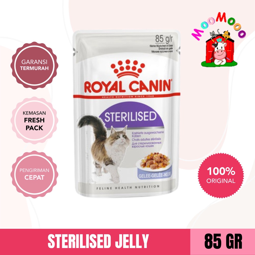 Royal Canin Sterilised In Jelly Makanan Kucing Dewasa Wet 85gr