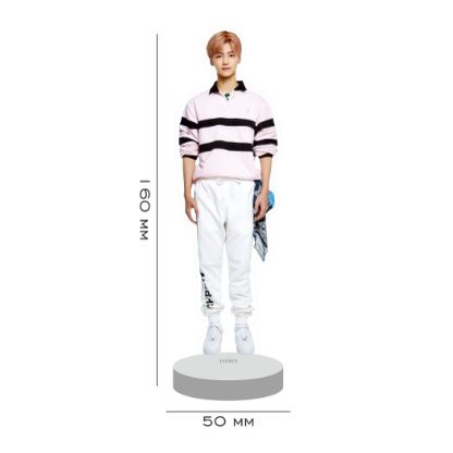 Stand Figure Aklirik JAEMIN NCT Dream 127 Wayv