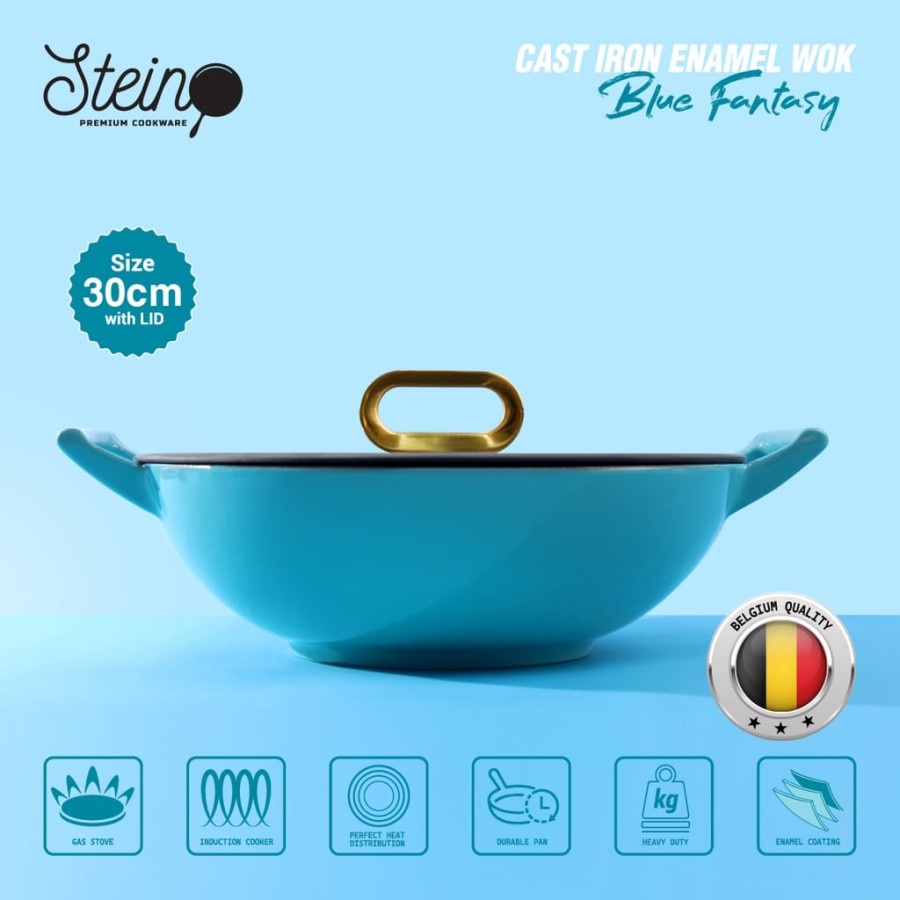 STEIN Cast Iron Wok 30 Inner Coating Enamel Belgium Non-Stick Misty Green-Blue Fantasy Wok30