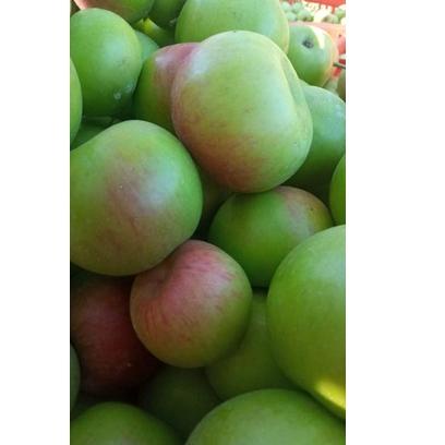 

HOT [PROMO]Apel malang fress 1kg ☃ 888