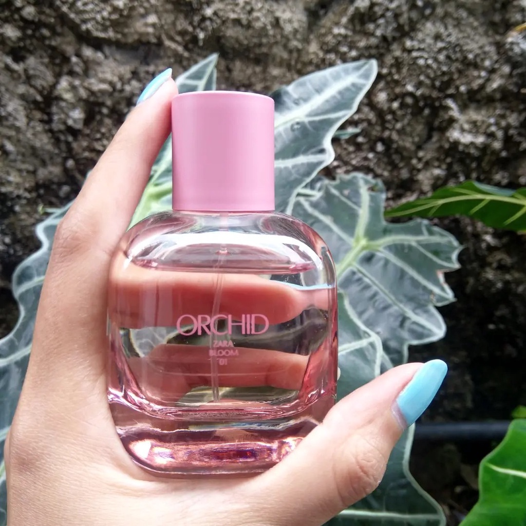 PROMO PARFUM ZARA ORCHID 90 ML + BOX BERSEGEL ORI-IMPORT