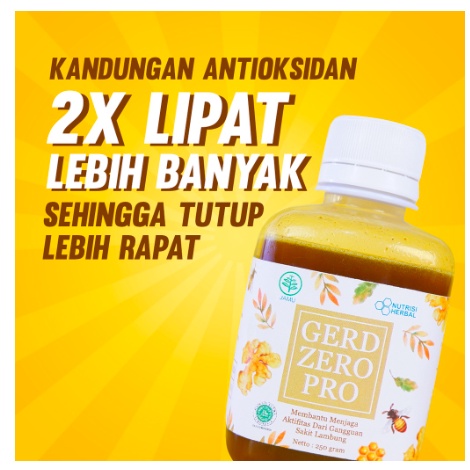 GERD ZERO PRO - OBAT ASAM LAMBUNG / MADU LAMBUNG / OBAT MAAG / OBAT LAMBUNG