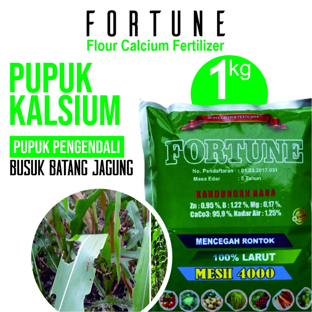 Fortune 1 Kg/fungisida zephyr/obat busuk tomat/obat anti jamur tanaman/obat bulai jagung/obat layu f