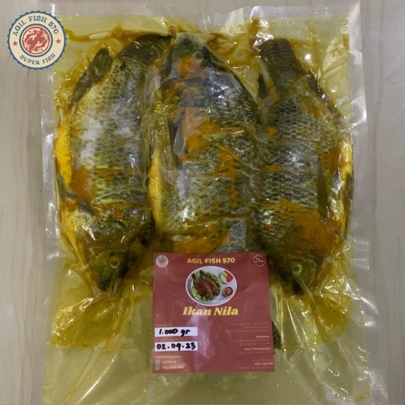 Jual Siap Bakar Siap Goreng Frozen Ikan Nila Bumbu Kuning Isi