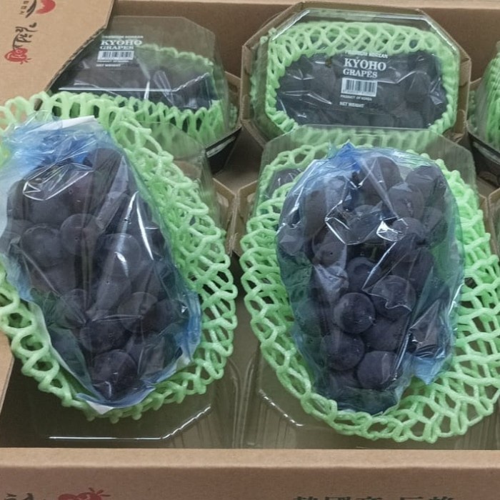 

anggur kyoho korea grapes per dus 2kg buah