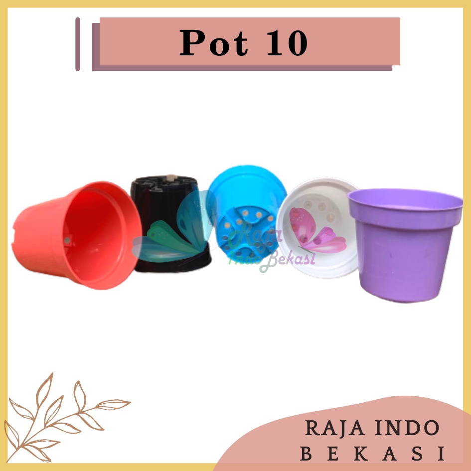 Pot Bunga 10 Cm Warna Warni Putih Hijau Kuning Pink Ungu Pot Bunga Hias Ukuran Mirip Pot Tawon 10 Cm