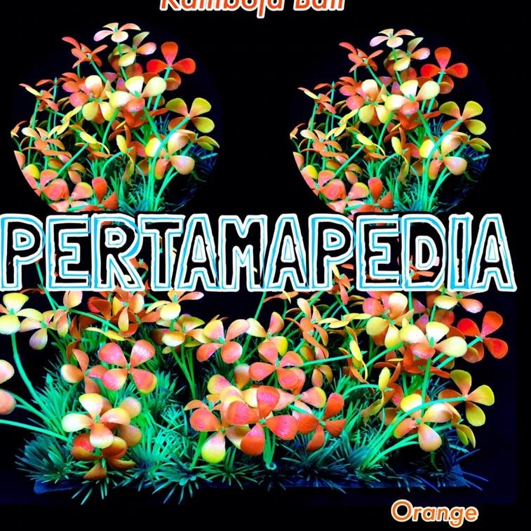 TERBARU 9925 RUMPUT KAMBOJA BALI / RUMPUT AQUARIUM/ RUMPUT PLASTIK/ BUNGA PLASTIK/ DAUN RAMBAT PLAST