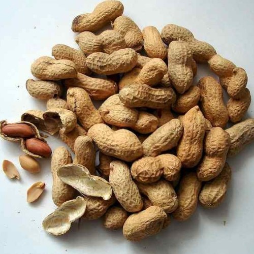 

Kacang Kulit Kacang Sangan KEKA 250gr
