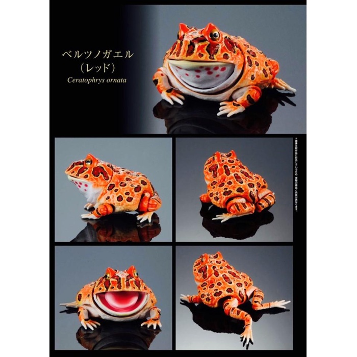 Premium Gashapon Pacman Horned Frog Kodok Dangomushi Bandai Gacha Baru