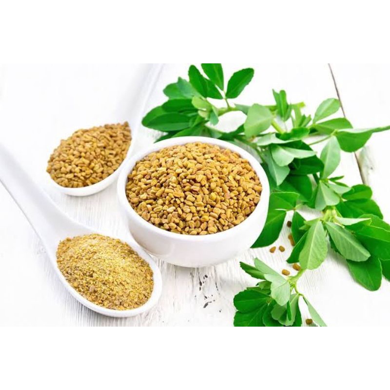 

Biji Klabet / Alba / Hulbah / Fenugreek 50gram Herbal Bumbu Dapur Rempah Rempah