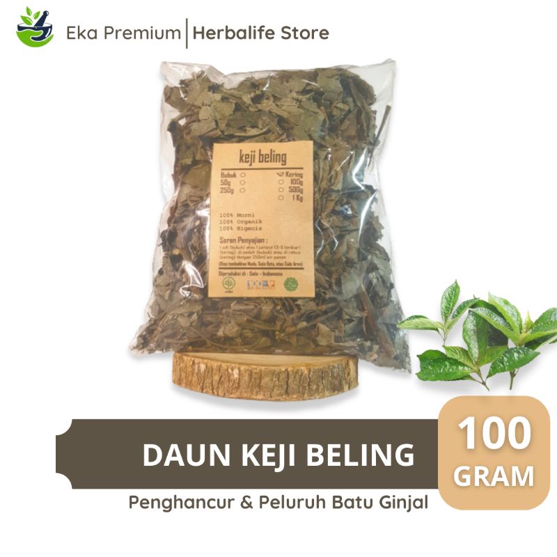 

Daun Keji Beling Kering 100 Gram Penghancur Batu Ginjal Asli Murni Organik Ramuan Buah Herbal Jamu Kejibeling Tradisional Obat Kencing Batu Wasir Ambeien