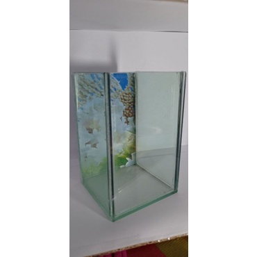 Aquarium Kaca Mini