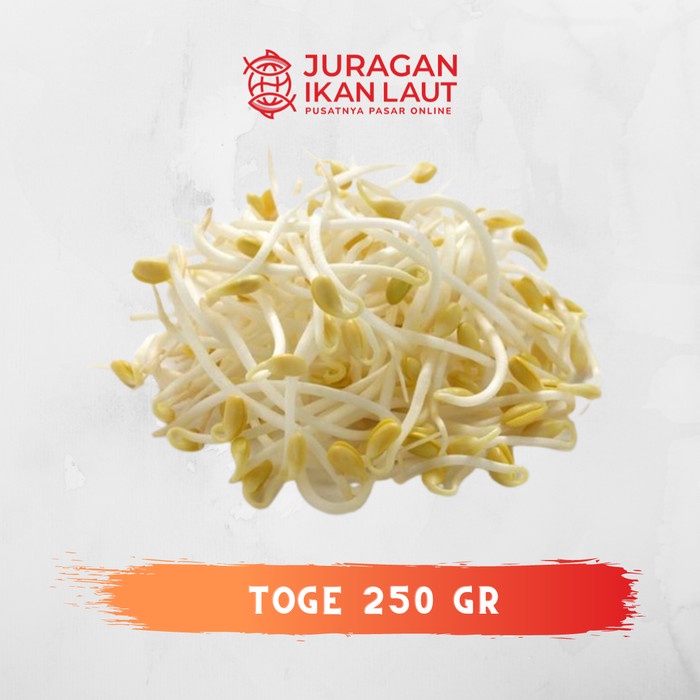 

Tauge / Toge Segar Fresh Berkualitas - 250 Gram