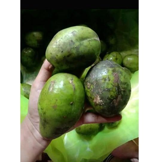 

PENJUALAN TERBANYAK buah kedondong Bangkok 1 kg ✡ 851