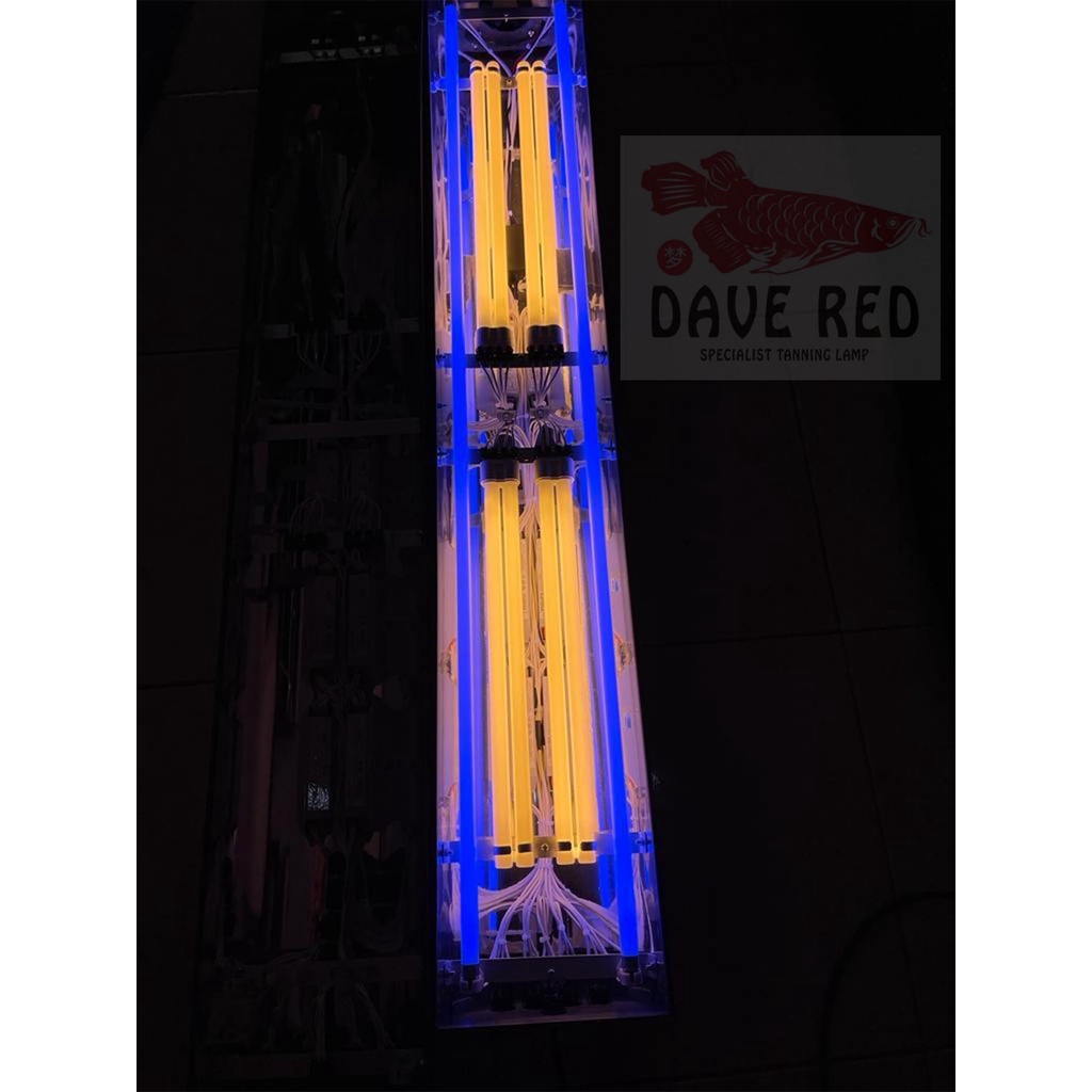 4 PLL 2 AQUAZONIC Lampu Tanning Arwana Super Red Medium Tanning