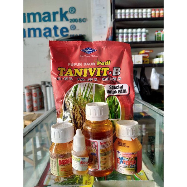 READYPAKET BOOM PADI
