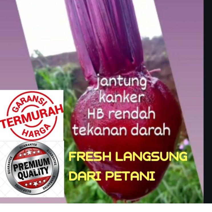 

↵ BUAH BIT SEGAR 1KG BEETROOT FRESH DARI KEBUN / bit merah ゕ