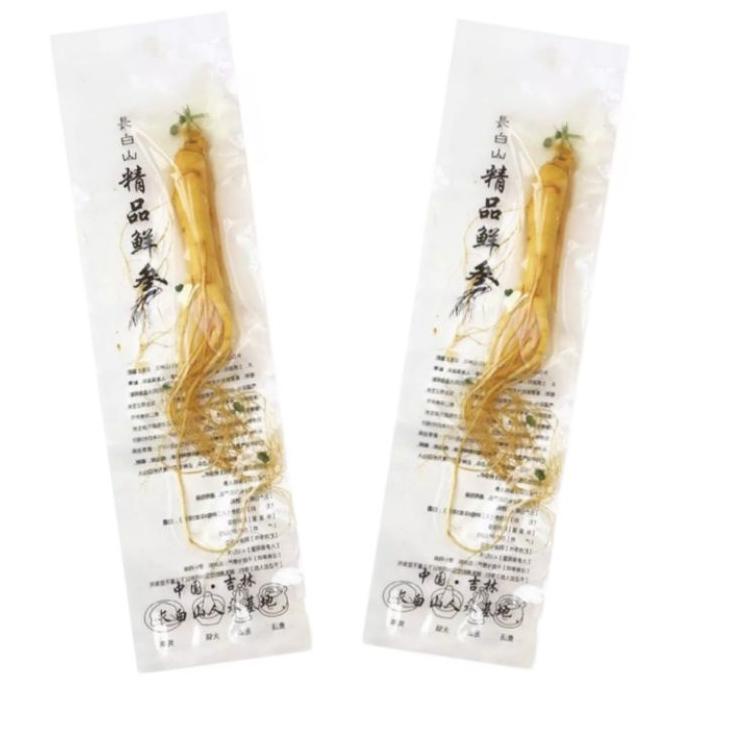 

Model Keren.. Ginseng Segar ukuran besar 100 gram / Fresh Ginseng root vacuum pack 48