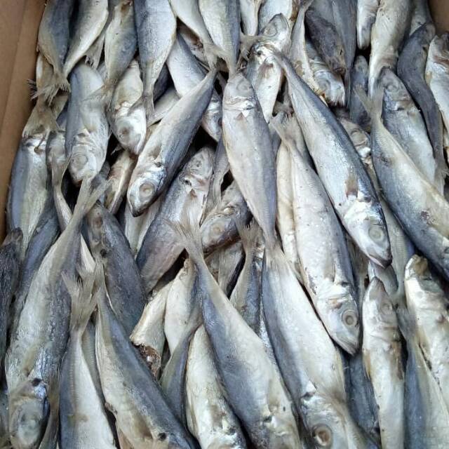 

Ikan kering klotok tawar/towo GROSIR 500gram