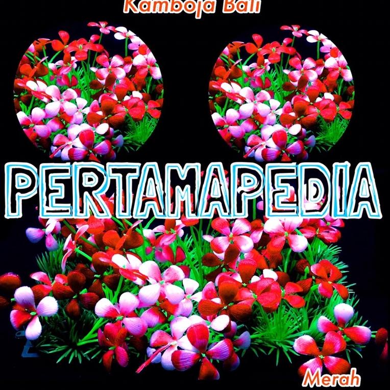 BARU ㅰ RUMPUT KAMBOJA BALI / RUMPUT AQUARIUM/ RUMPUT PLASTIK/ BUNGA PLASTIK/ DAUN RAMBAT PLASTIK/ FL
