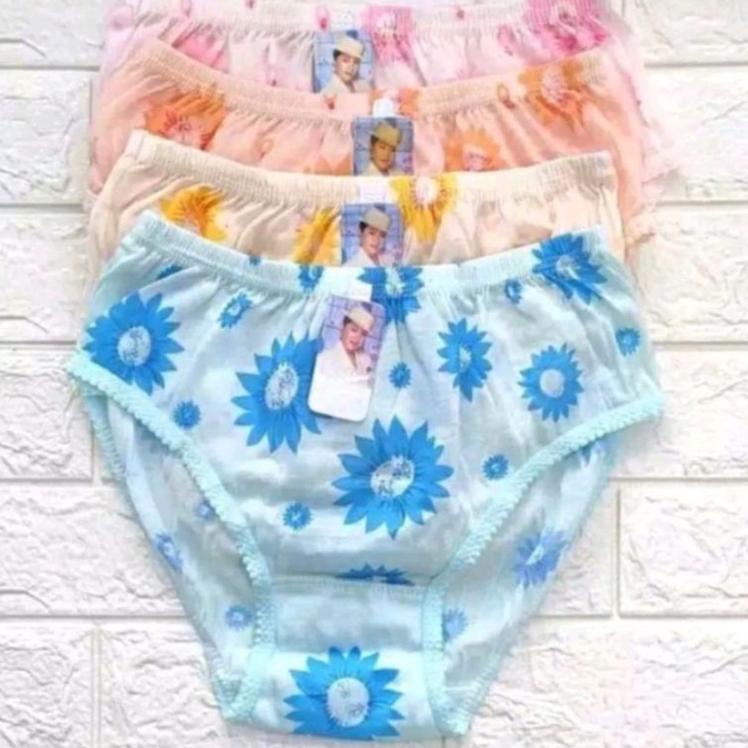 ホ (S M L XL 3L 4L 5L)lusinan celana dalam wanita murah/grosir CD wanita bordir/CD wanita katun murah