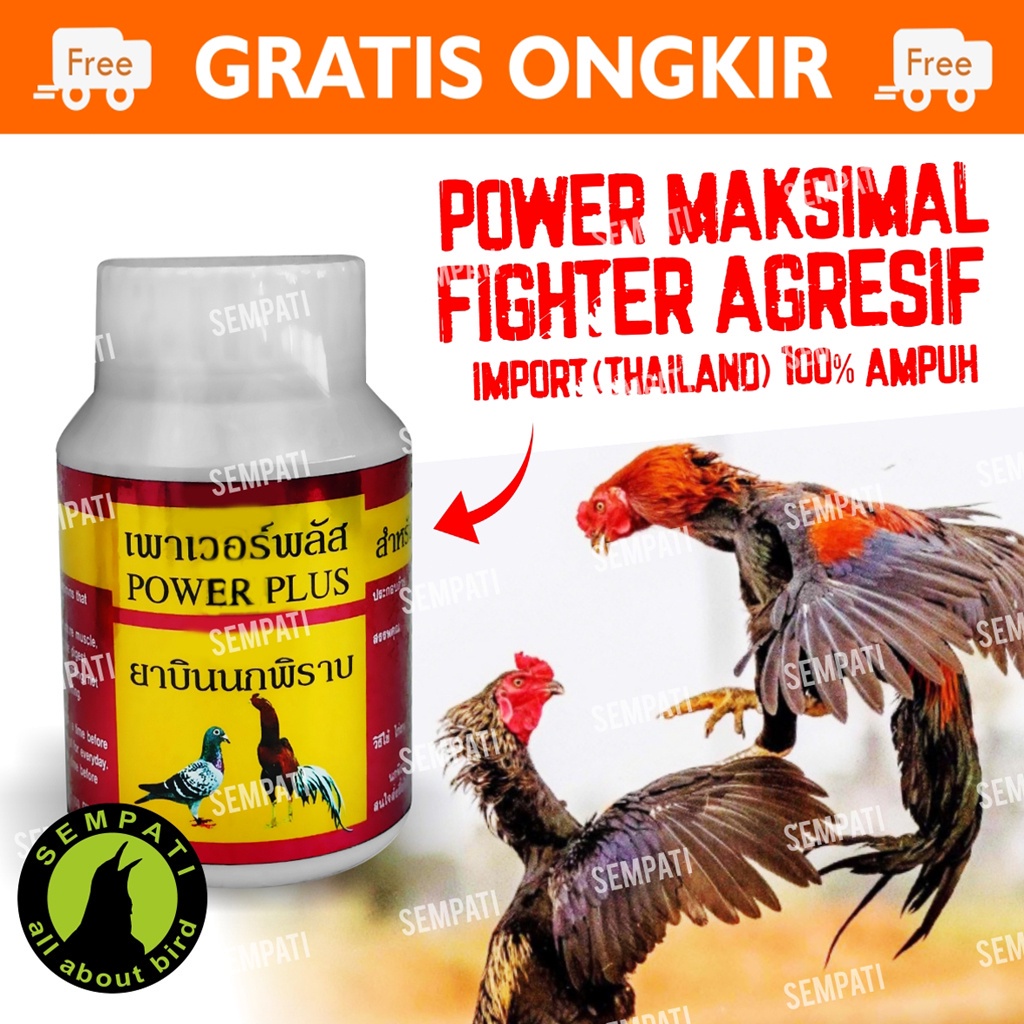Power Plus Ayam Merpati 100 Butir Jamu Vitamin Stamina Pil Doping Ayam Jago Tarung Burung Merpati Jamu Merpati Ayam Aduan
