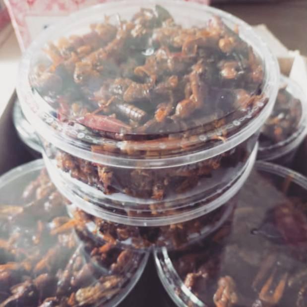 

(G-Z2Z㊛) Belalang Goreng Enak / Walang Goreng Kemasan Toples 100 Gram trending
