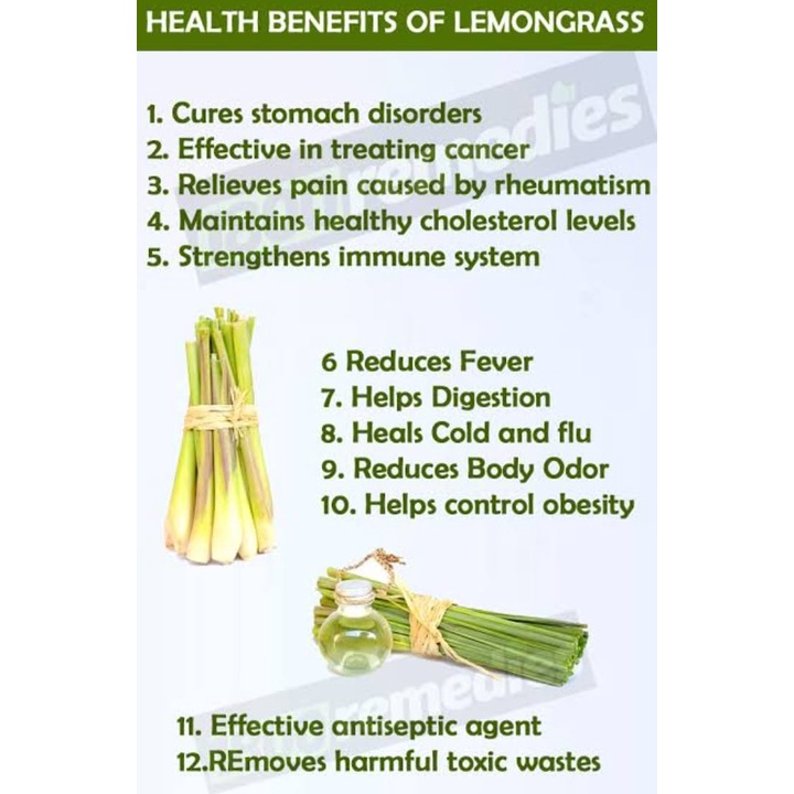 

ELIF TEA AND TISANE Lemongrass Tea Teh Serai Citronella Tea 30 Tea Bag