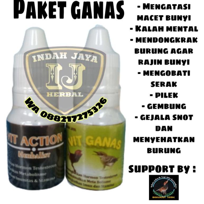 [E-X3X] ☎] Vitamin burung indah jaya herbal-paling laris