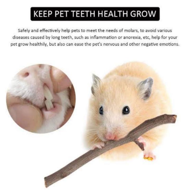 Mainan Hamster Stik Apel size S, Natural Apple Orchard Chew Stick