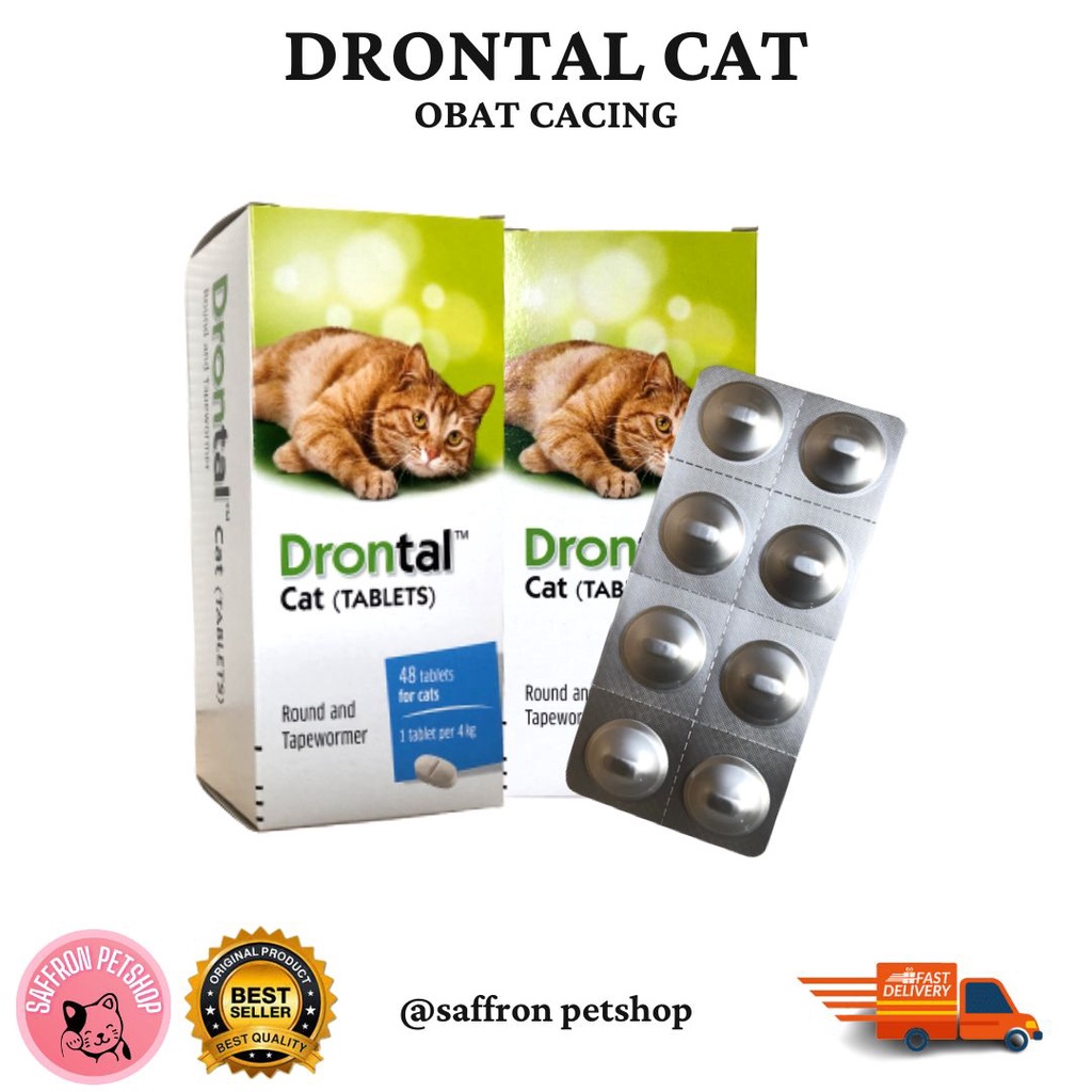 Jual DRONTAL CAT KUCING 1 TABLET OBAT CACING KUCING Shopee Indonesia